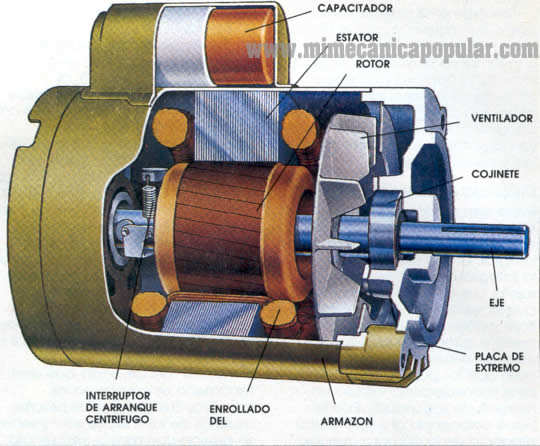 MOTOR ELECTRICO – TIPOS Y FUNDAMENTOS | Zona Vertigo2040