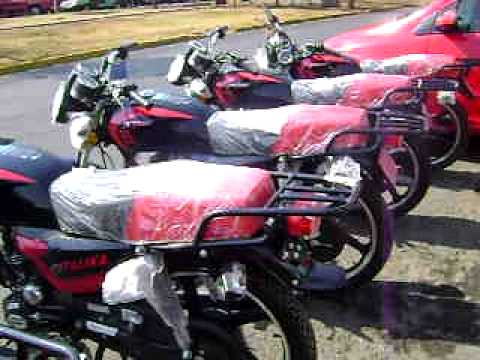 FT125-百里挑一网