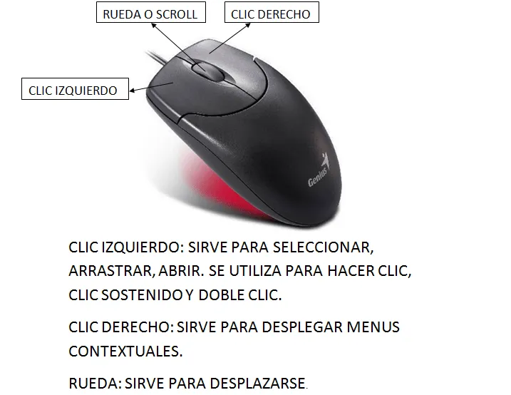 Mouse y sus partes - Imagui