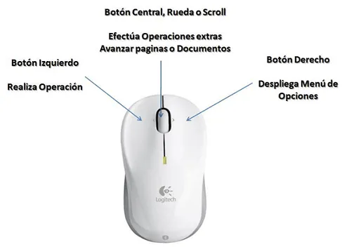 Imagenes del Mouse con sus partes - Imagui