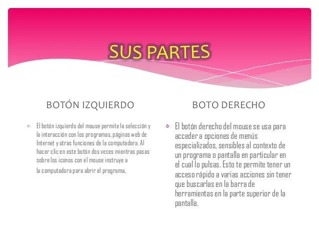 mouse-y-sus-partes-primero- ...
