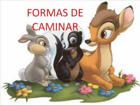 EL MOVIMIENTO DE LOS ANIMALES.wmv - YouTube