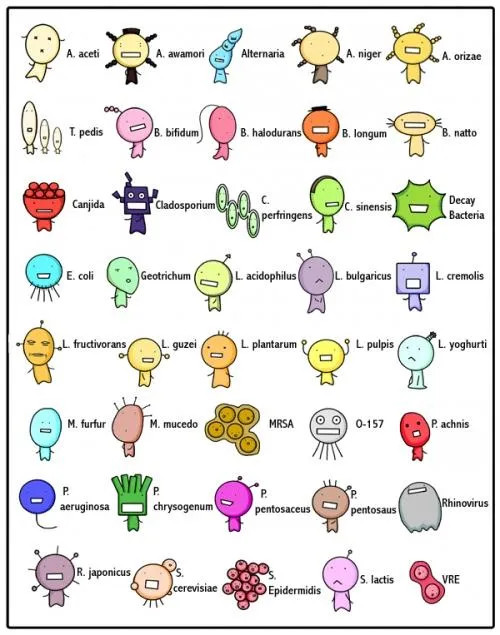 Moyashimon: un anime para microbiólogos - Paperblog Moyashimon: un anime para microbiólogos - Paperblog