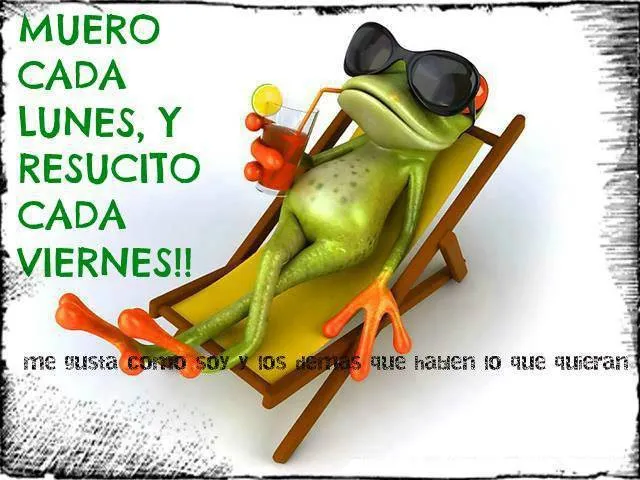 muero cada lunes y resucito cada viernes yecla ofertas humor rana ... muero cada lunes y resucito cada viernes yecla ofertas humor rana ...
