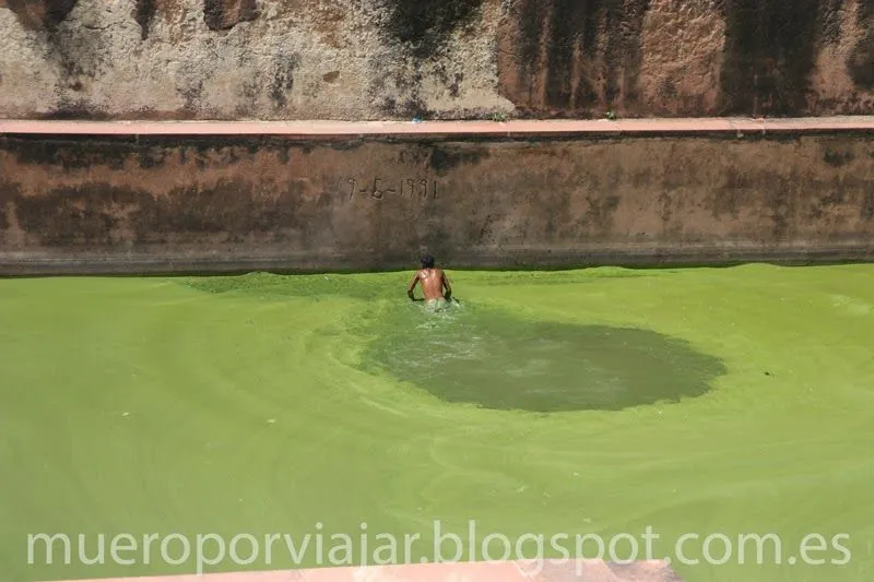 MUERO POR VIAJAR: Incredible !ndia