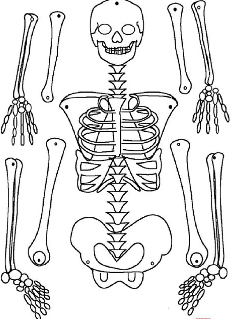 Día de los muertos esqueletos colorear, recortar, armar - Colorear dibujos  infantiles