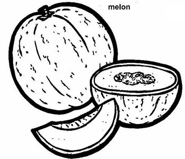 Muestra de colores de melon para colorear - Imagui