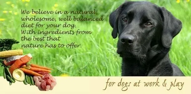 Muestra gratis de comida para perros Whites Premiun | Regalos y ... Muestra gratis de comida para perros Whites Premiun | Regalos y ...