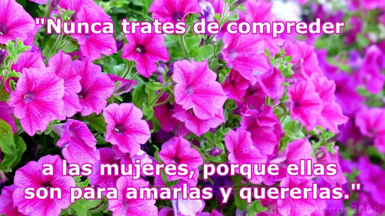 Dia De La Mujer 2023 frases pensamientos reflexiones para Compartir en Facebook - YouTube Dia De La Mujer 2023 frases pensamientos reflexiones para Compartir en Facebook - YouTube
