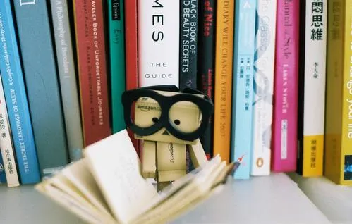 Mujer después de los 40...: Danbo, el robot de cartón más famoso y ... Mujer después de los 40...: Danbo, el robot de cartón más famoso y ...