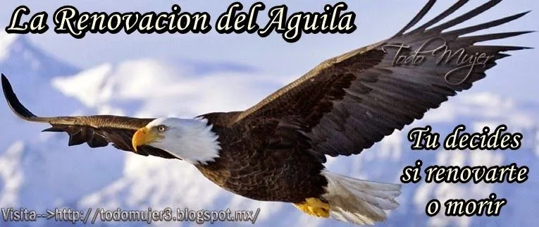 Todo Mujer: LA RENOVACION DEL AGUILA