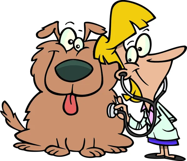 Mujer de veterinario de dibujos animados — Vector stock ... Mujer de veterinario de dibujos animados — Vector stock ...