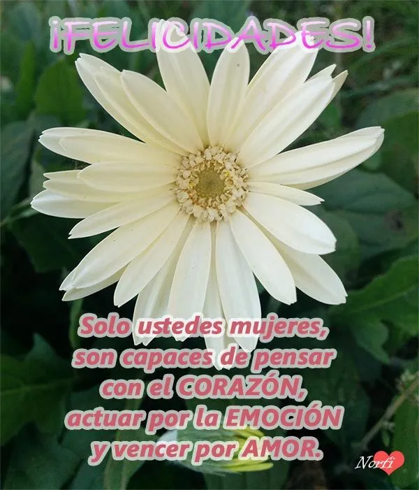 Para las mujeres en su día, versos de reconocimiento y amor Para las mujeres en su día, versos de reconocimiento y amor