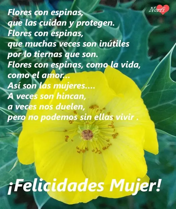 Para las mujeres en su día, versos de reconocimiento y amor Para las mujeres en su día, versos de reconocimiento y amor