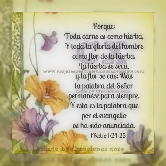 MUJERES DE EXCELENCIA INTERNACIONAL MEI-USA: tarjetas con mensajes ... MUJERES DE EXCELENCIA INTERNACIONAL MEI-USA: tarjetas con mensajes ...
