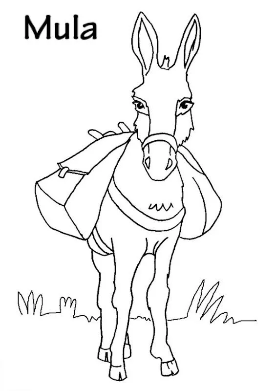 Pinto Dibujos: Mula para colorear