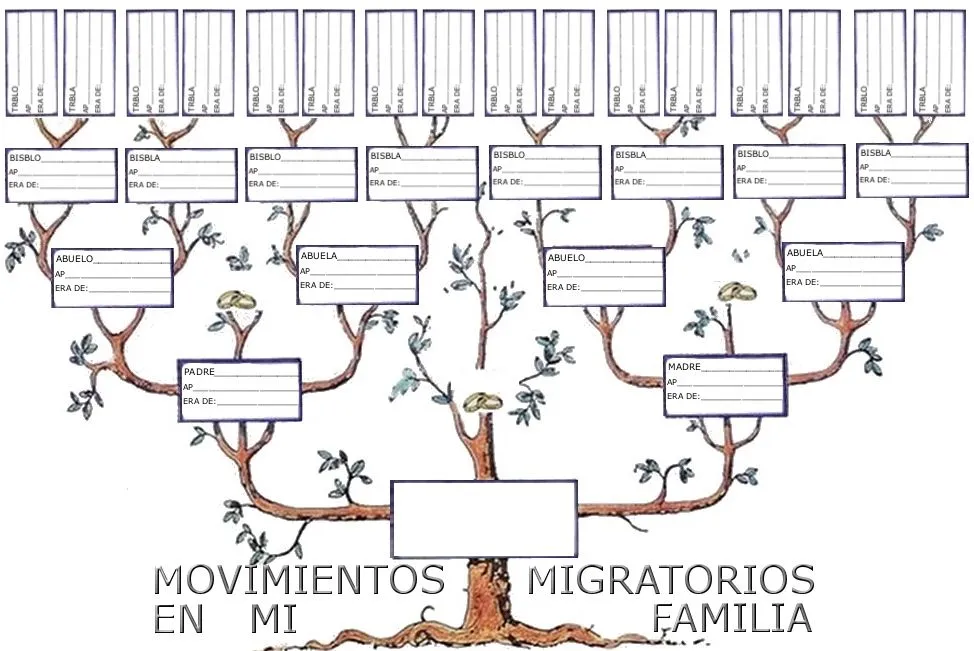 Multidisciplinar | Complemento de la clase