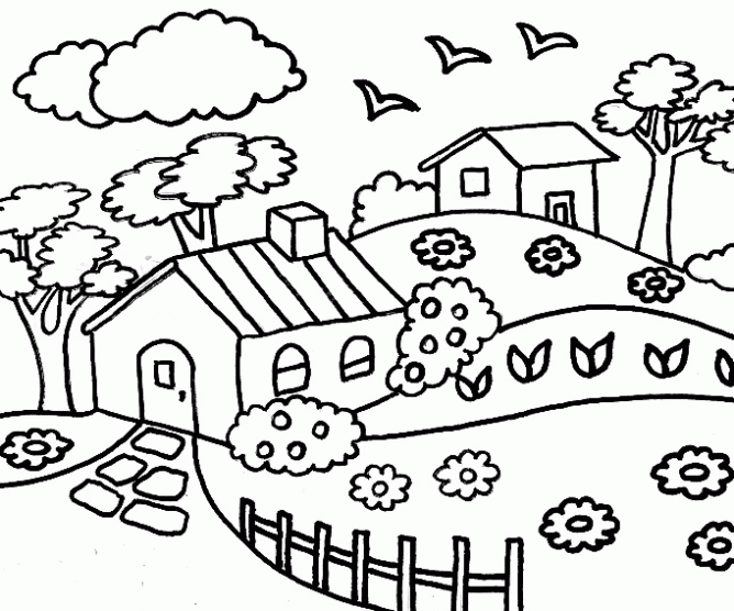 MULTIEDUCACIÓN: Dibujos para Colorear