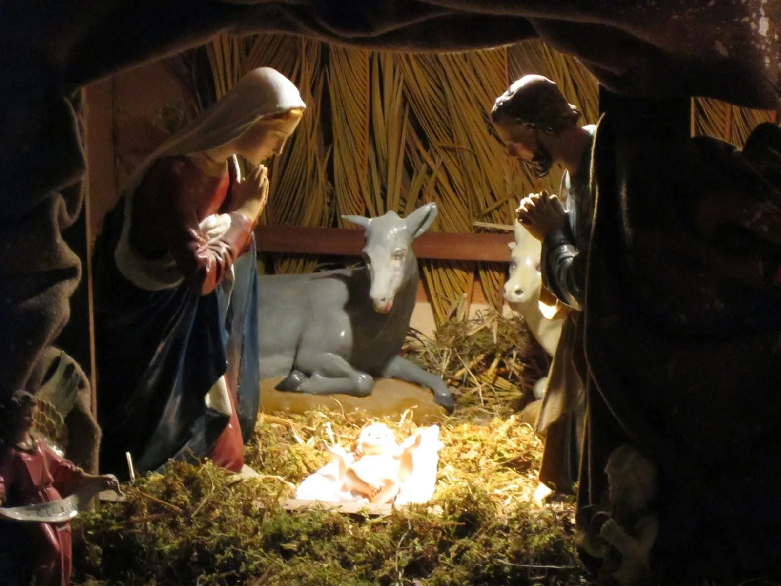 Multinotas: Nacimientos Navideños Tradicionales Multinotas: Nacimientos Navideños Tradicionales