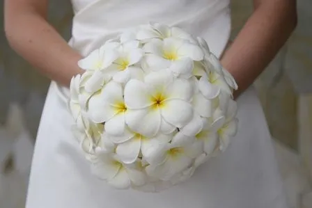 Multinotas: Ramo de Flores o Bouquet para Novias. Multinotas: Ramo de Flores o Bouquet para Novias.