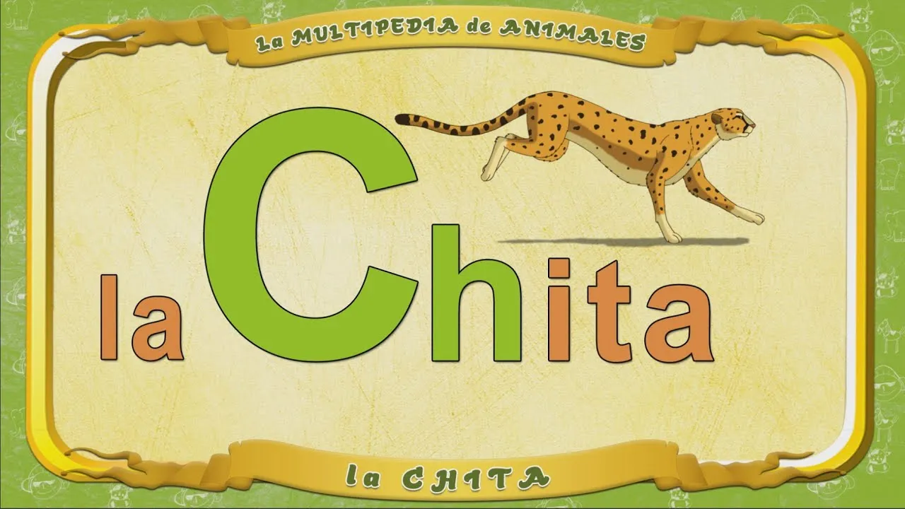 Multipedia de los animales - Letra Ch - la Chita - YouTube Multipedia de los animales - Letra Ch - la Chita - YouTube