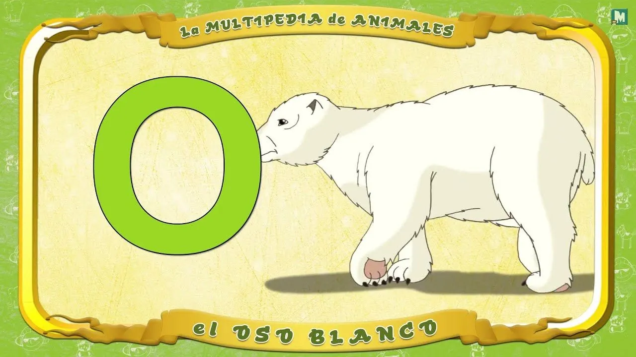 Multipedia de los animales - Letra O - el Oso blanco - YouTube