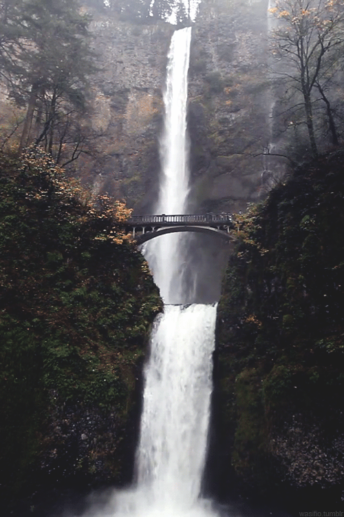 Multnomah Falls in Oregon | Favorite Places &amp; Spaces | Pinterest ...