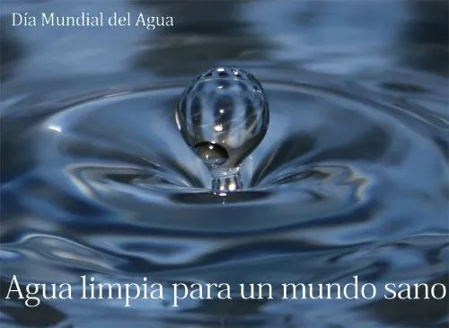Día Mundial del Agua 2010