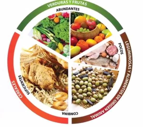 Día Mundial de la Alimentación | Guao