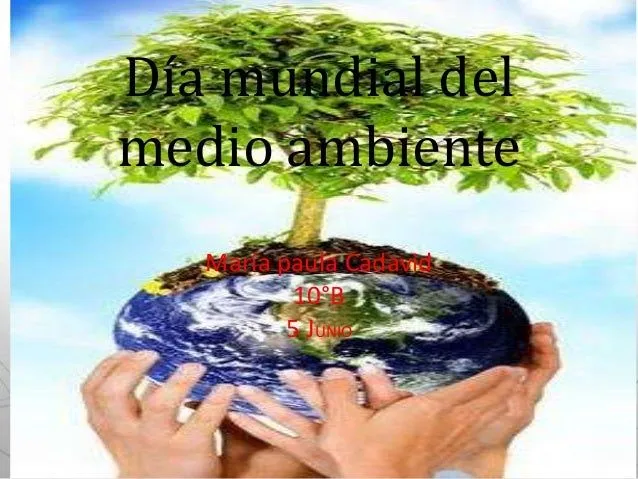 Dia mundial del medio ambiente