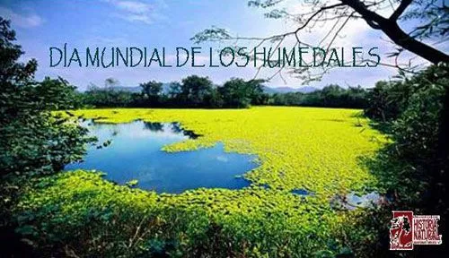 Dia Mundial De Los Humedales | Efemérides en imágenes - Part 3 Dia Mundial De Los Humedales | Efemérides en imágenes - Part 3