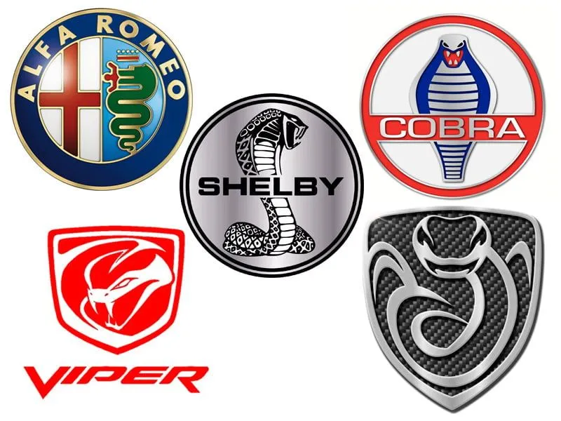 Día mundial de las serpientes: ¿Qué importancia tiene para las marcas de coches? - Mycaready Technologies SL Día mundial de las serpientes: ¿Qué importancia tiene para las marcas de coches? - Mycaready Technologies SL