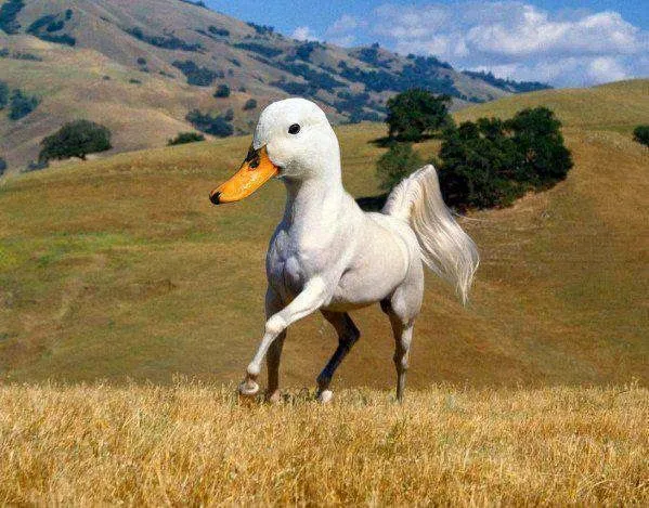 La verdad del mundo actual (Analisis): ASOLBROSO CABALLO MUTADO ... La verdad del mundo actual (Analisis): ASOLBROSO CABALLO MUTADO ...