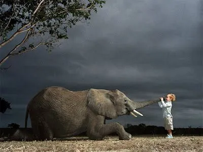 ... Un Mundo Animal*•.¸: El Triste Final de algunos Animales Famosos ... Un Mundo Animal*•.¸: El Triste Final de algunos Animales Famosos