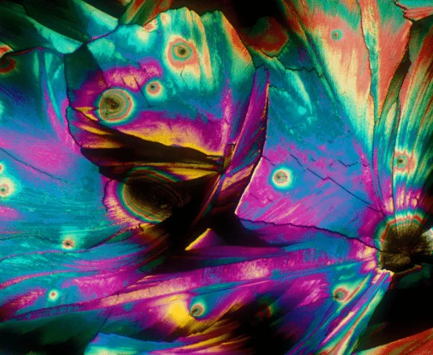 El mundo de el arte: El arte : Pinturas.