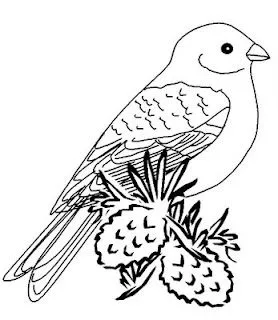 O mundo colorido: Aves e pássaros para imprimir e colorir O mundo colorido: Aves e pássaros para imprimir e colorir