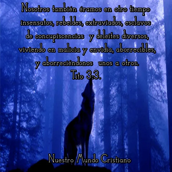 Nuestro Mundo Cristiano: El hombre es un lobo para el hombre Nuestro Mundo Cristiano: El hombre es un lobo para el hombre