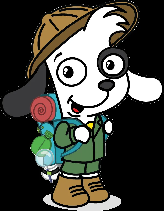 COLOMBIA, UN PAÍS LLENO DE VIDA Y COLOR: agosto 2013