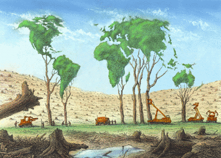 El mundo de la ecologia: Citas y humor ecologico El mundo de la ecologia: Citas y humor ecologico
