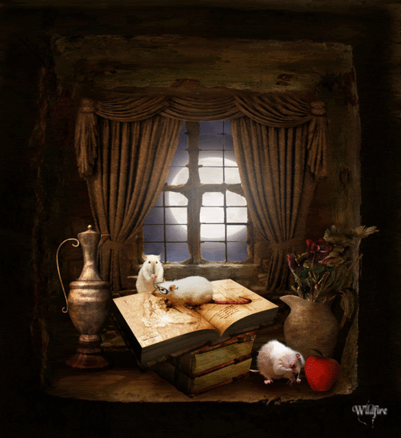 mundo de fantasia: LA MISTERIOSA VIDA DE LAS HADAS