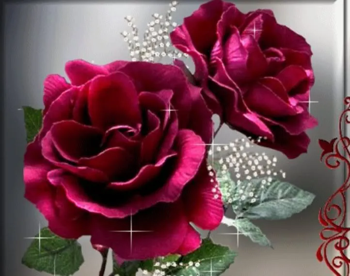 MUNDO DE FLORES: LAS FLORES MAS HERMOSAS