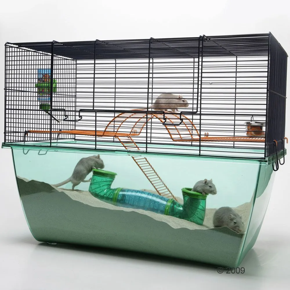Mundo Hammie: Tipos de jaula para tu hamster. Mundo Hammie: Tipos de jaula para tu hamster.