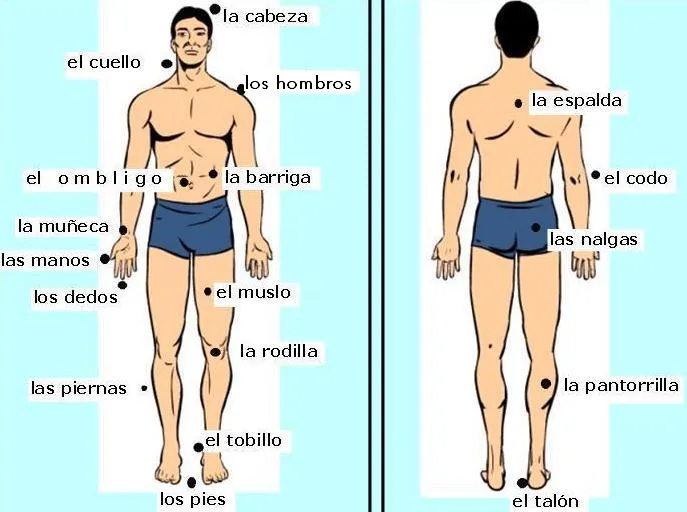 Un mundo con Ñ.: Partes del cuerpo