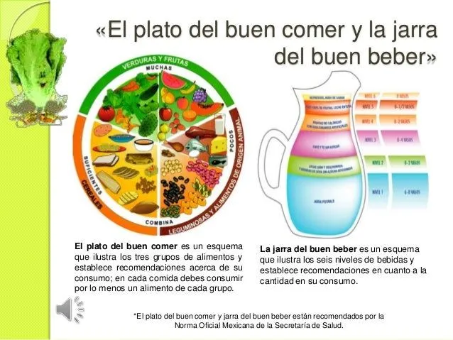 El mundo de la nutrición