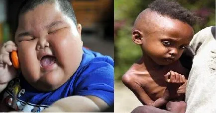 Un mundo de obesos y famélicos — Otro mundo es posible Un mundo de obesos y famélicos — Otro mundo es posible