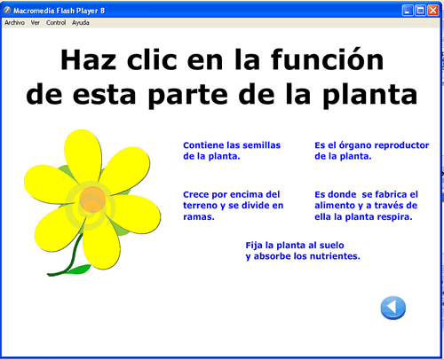 Funciones de las partes de una planta - Imagui