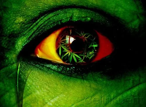 Mundo Rasta y Reggae: Imagenes