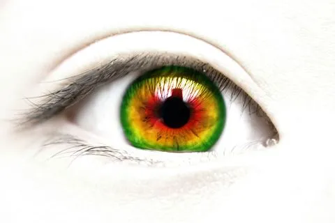 Mundo Rasta y Reggae: Imagenes