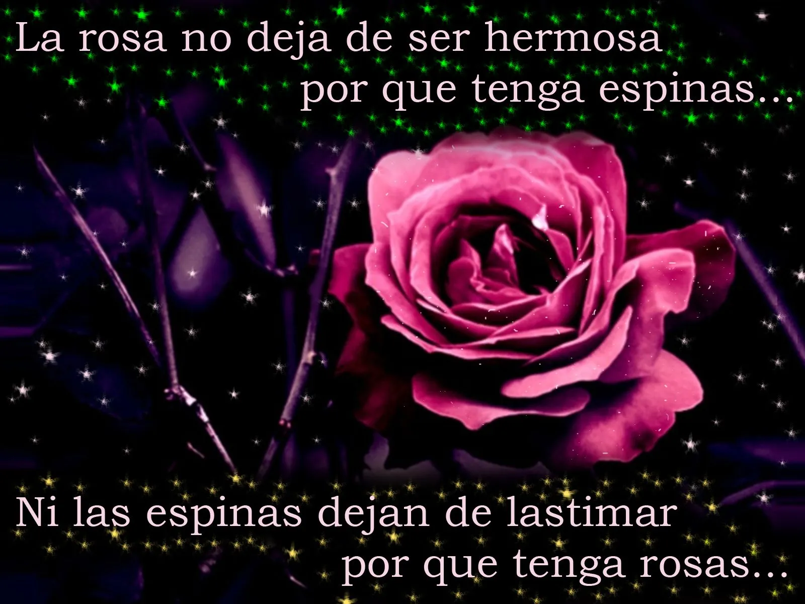 Mi mundo secreto: La Rosa y La Espina