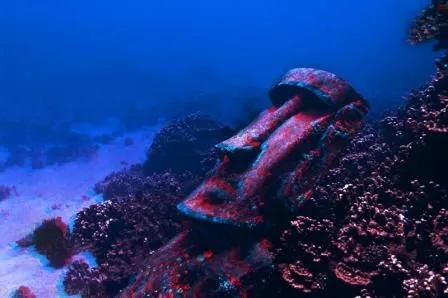 El Mundo Submarino en 3D: Del fondo del mar a la Plaza de Copiapó ... El Mundo Submarino en 3D: Del fondo del mar a la Plaza de Copiapó ...